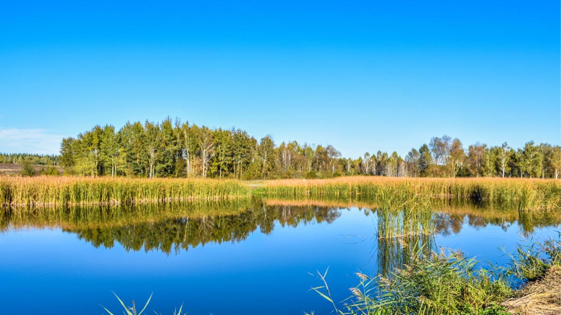 Sherwood Lake Hotel Berezovka  Exteriör bild